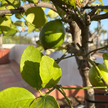 Punta Lara, Apartament *