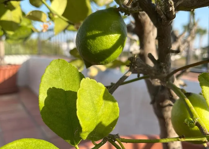 Punta Lara, アパート *